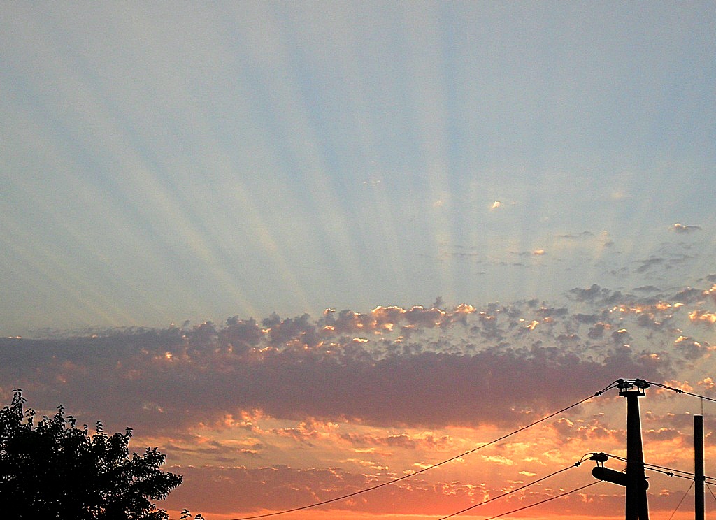 ������������� �������