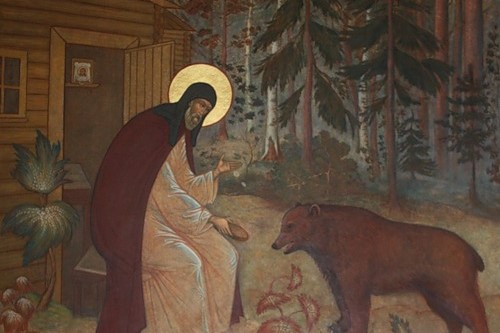 ���� ���������