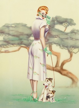 ���� ����