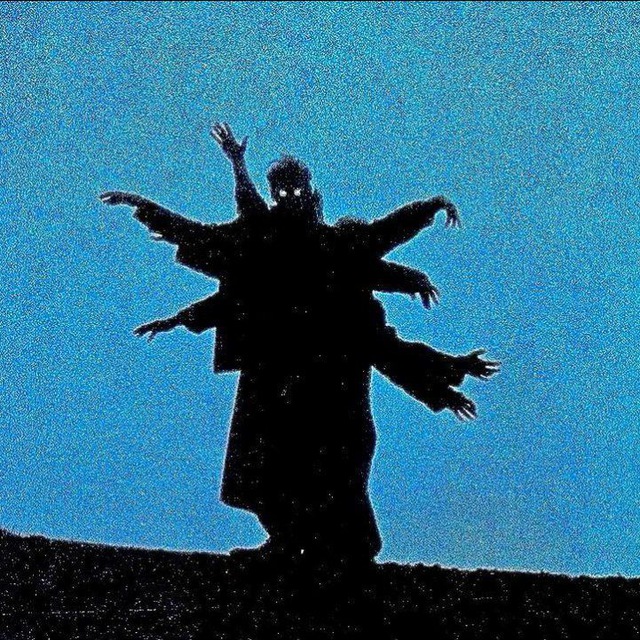 ���� �����������