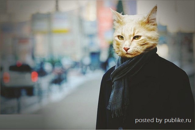 ������ ����