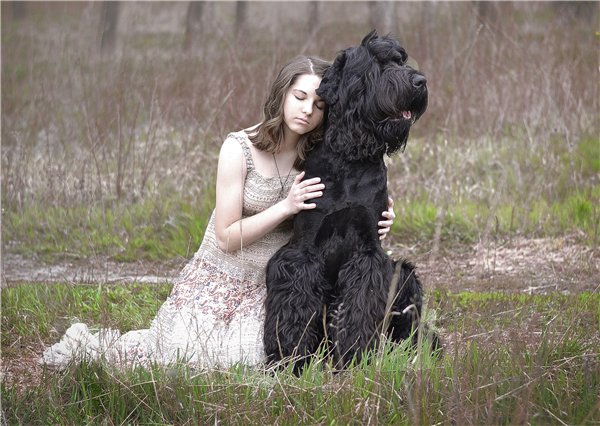 �������� ��������