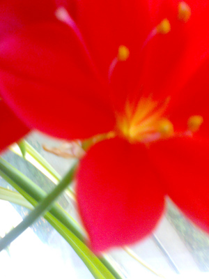 ���� ���������