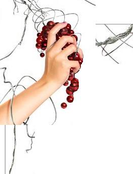 ���� ����