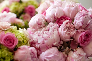 Мария Забайкальская