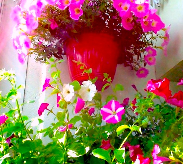 Васильева Наталья Юрьевна