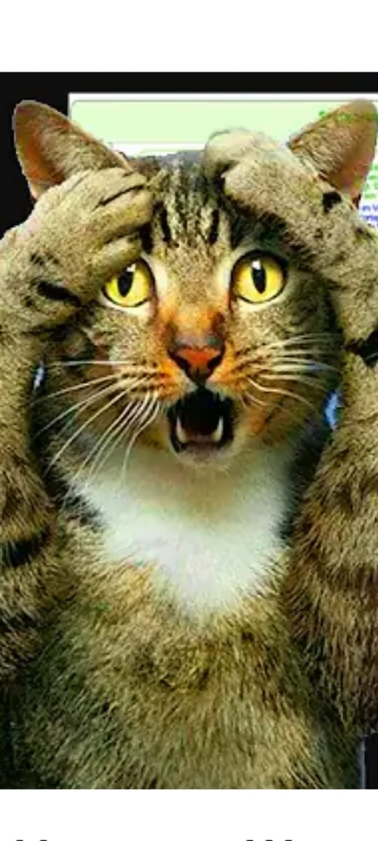 �������� ������� 7