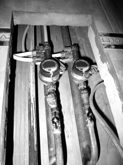 ����� ����