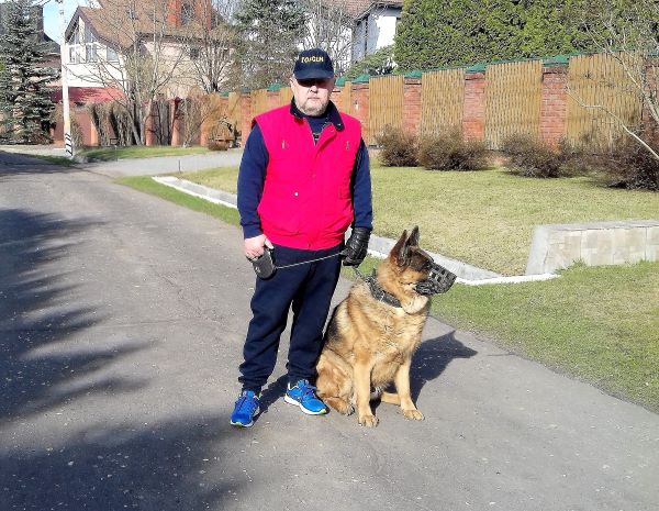 ������� ������������� �������