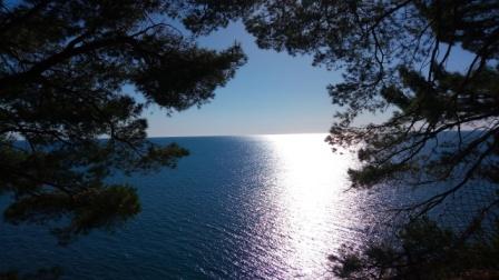 ���� ���������