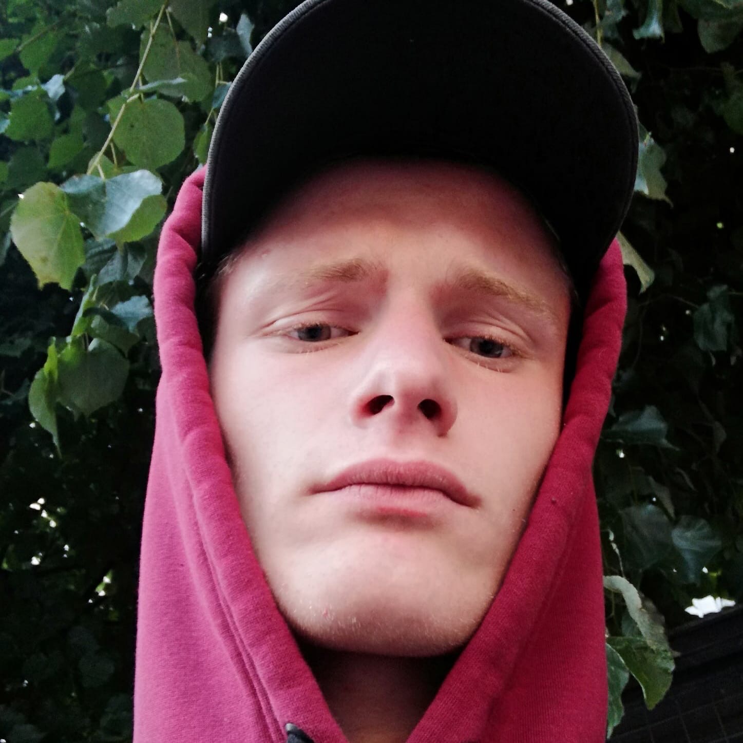 ������� ������ ���������