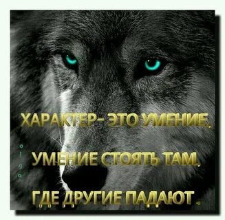 ����� ����������� ����������