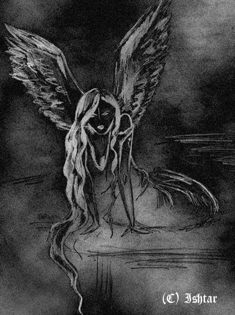 ������ ���������