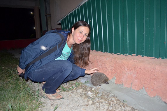 ������� ���������