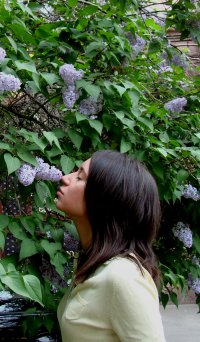 Тарицина Ольга