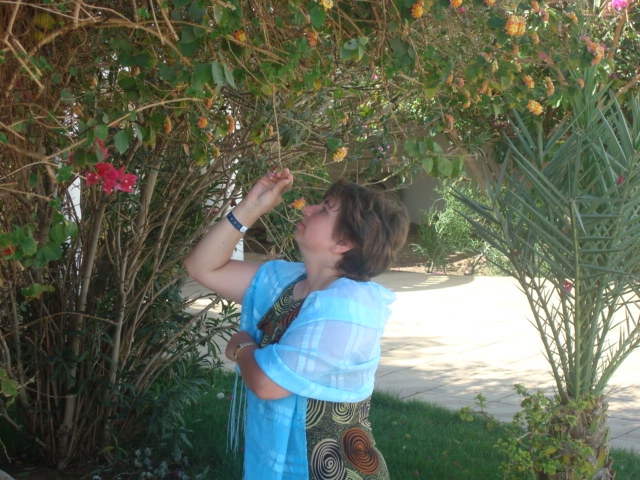 ������ �������