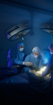 ���� ������