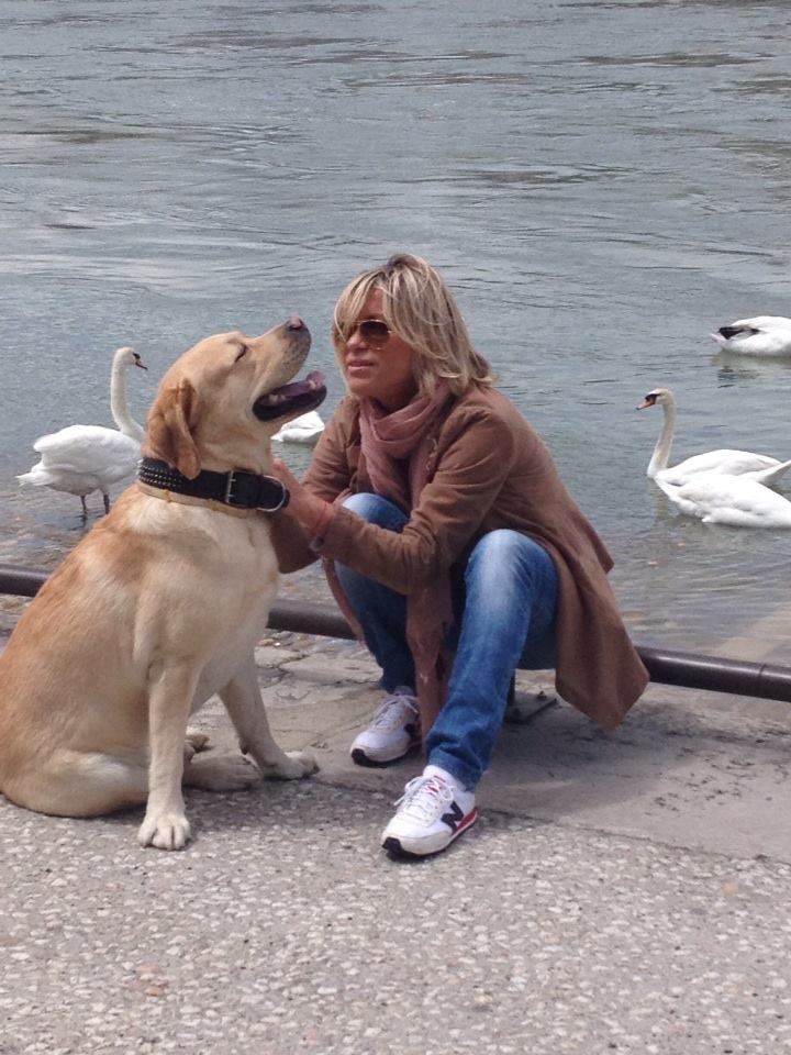 ������� ��������