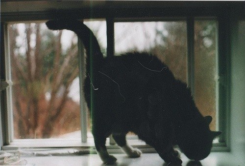 ��� ����