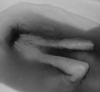 ������� �����