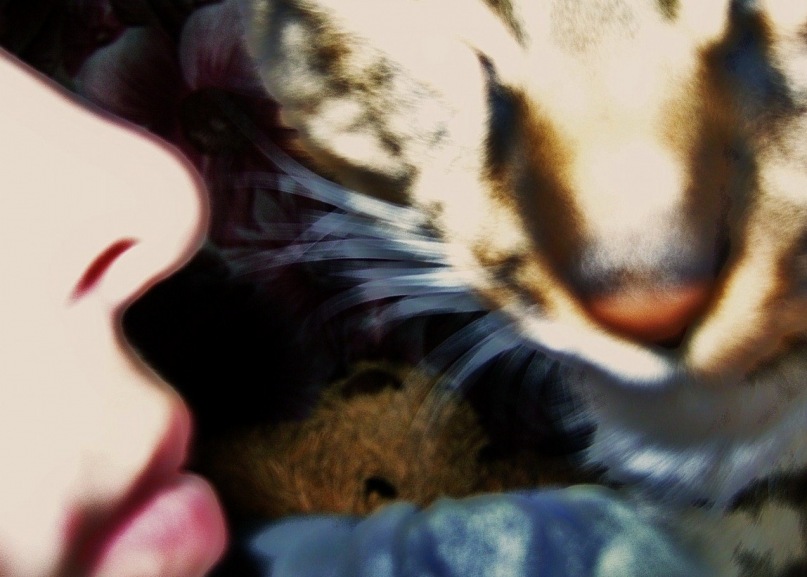 �������� ��������