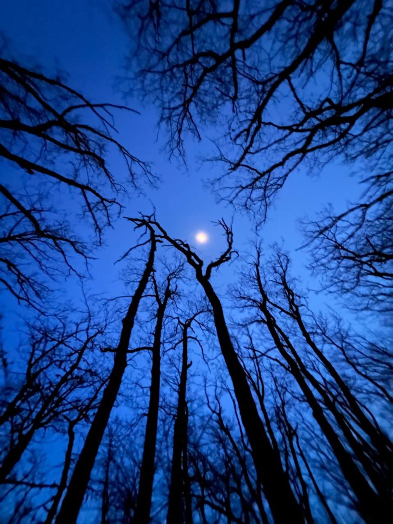 Джон Сайлент