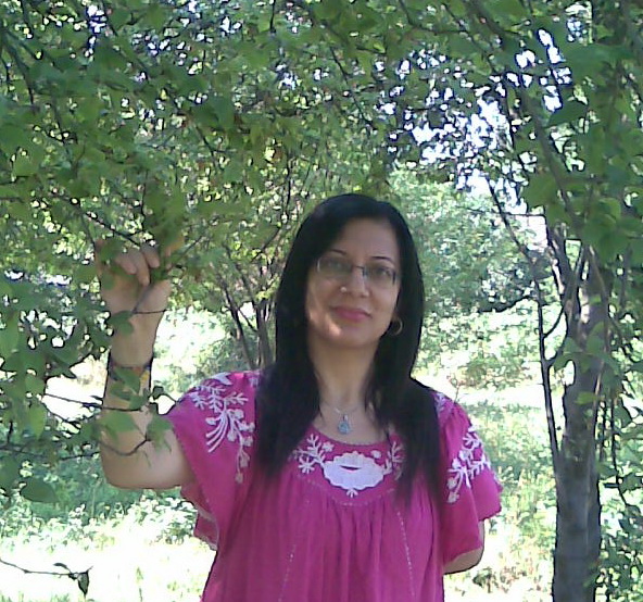 ���� ������