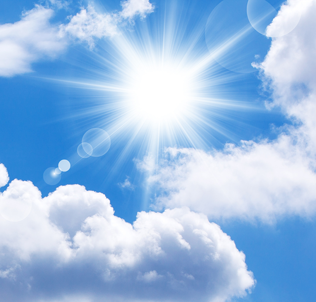 ���� �����