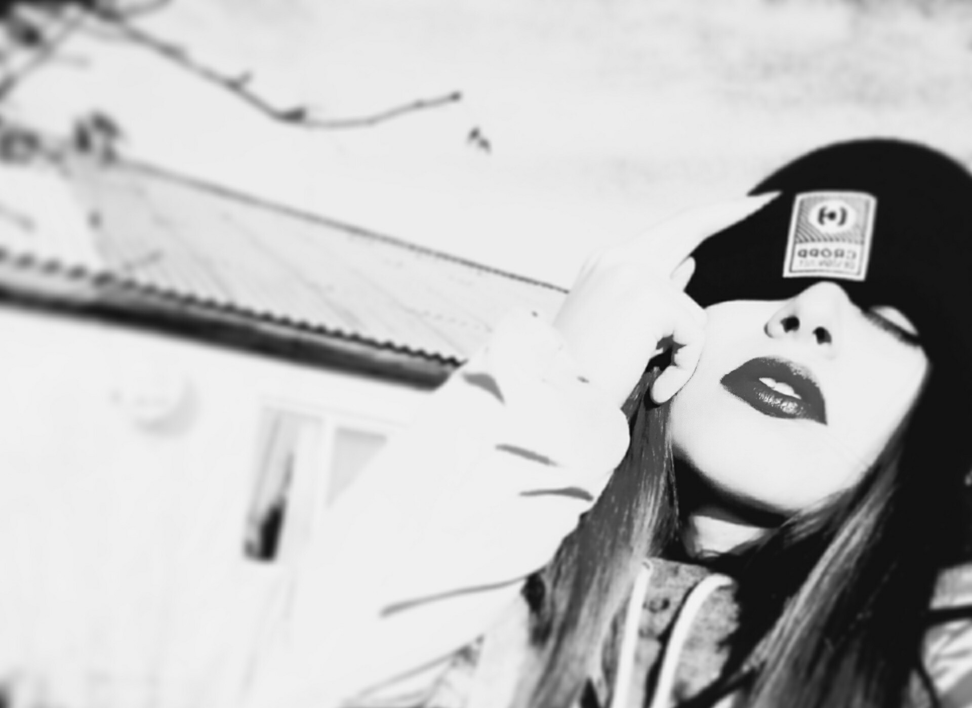 ���� ��������