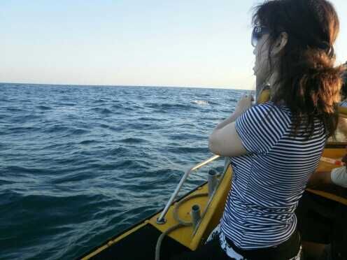 ������ ������������