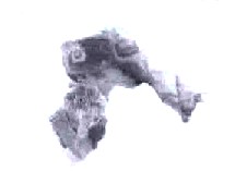 Друг Детства