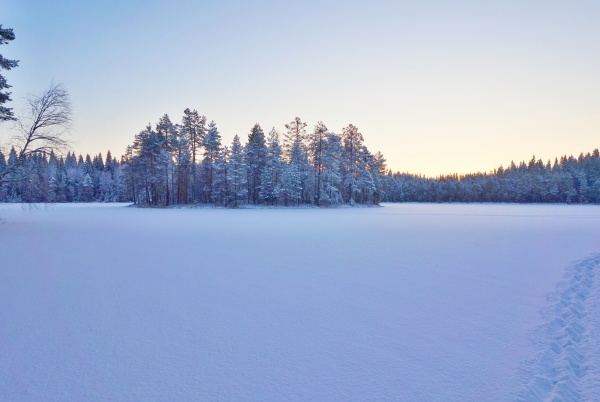 ���������� �����