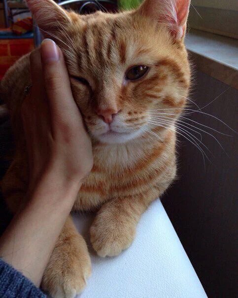 Не Люблю Свое Имя