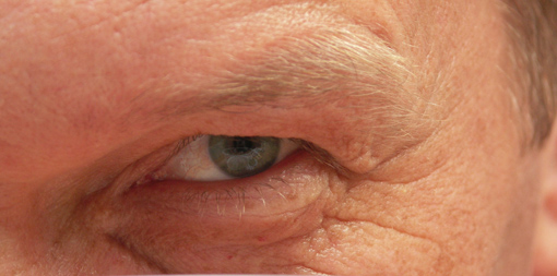 ���� ��������