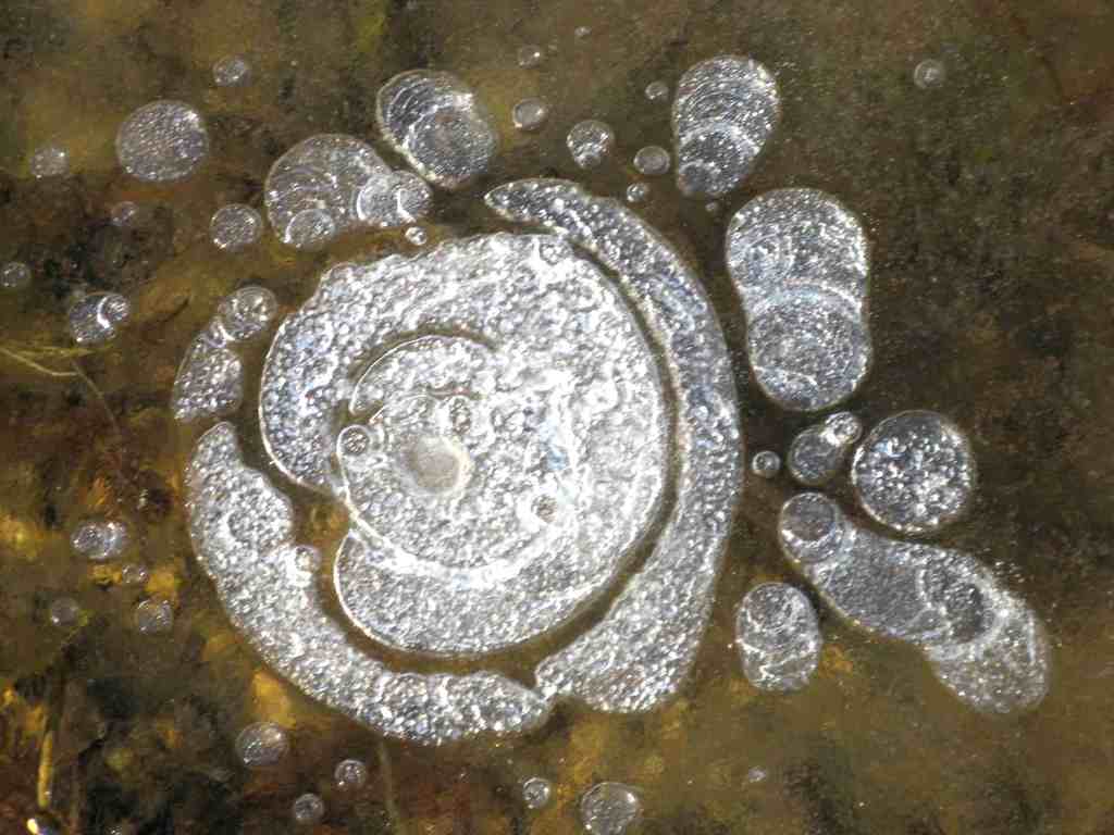 ���� �������� ����