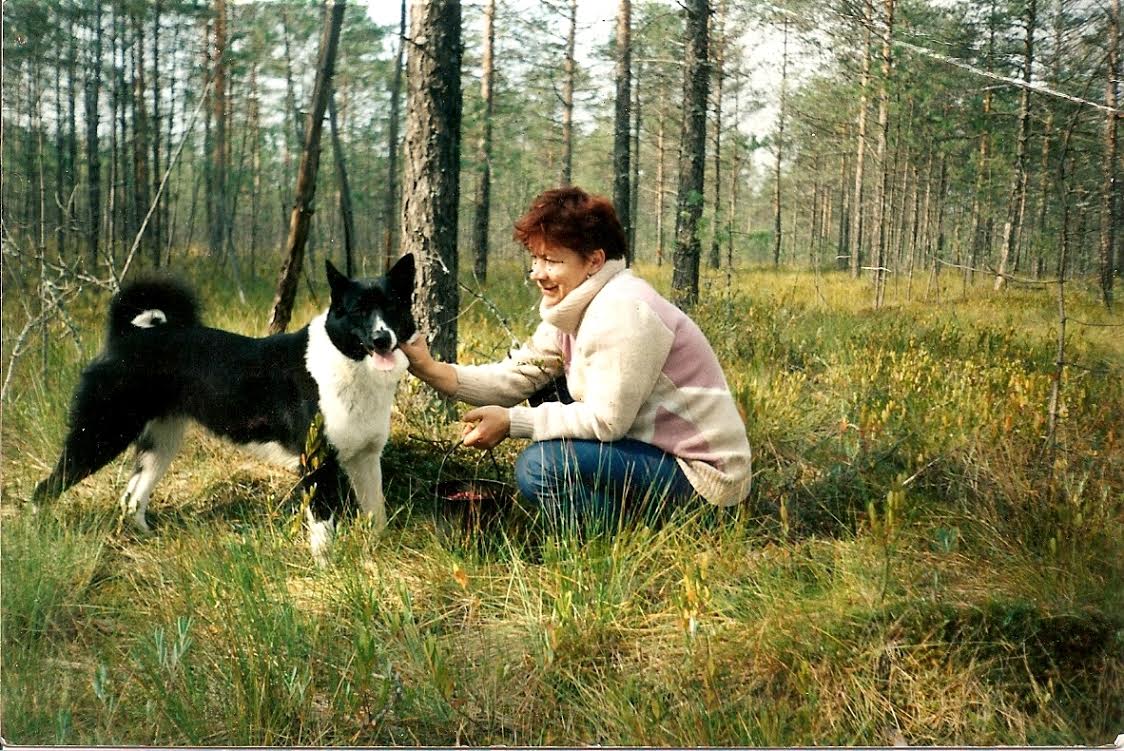 ��������� ������