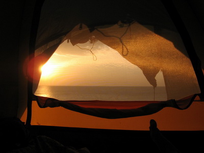 ���� ���