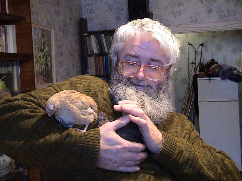 ���� ���������