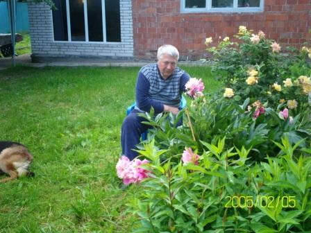 ���� �������