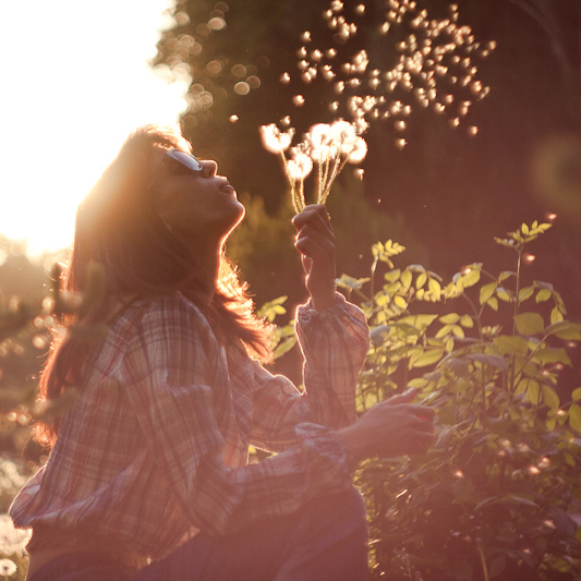 ���� ����