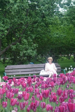 ����� ��������