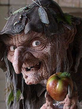 ���� ���������