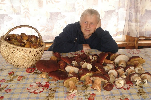 ����� ������������