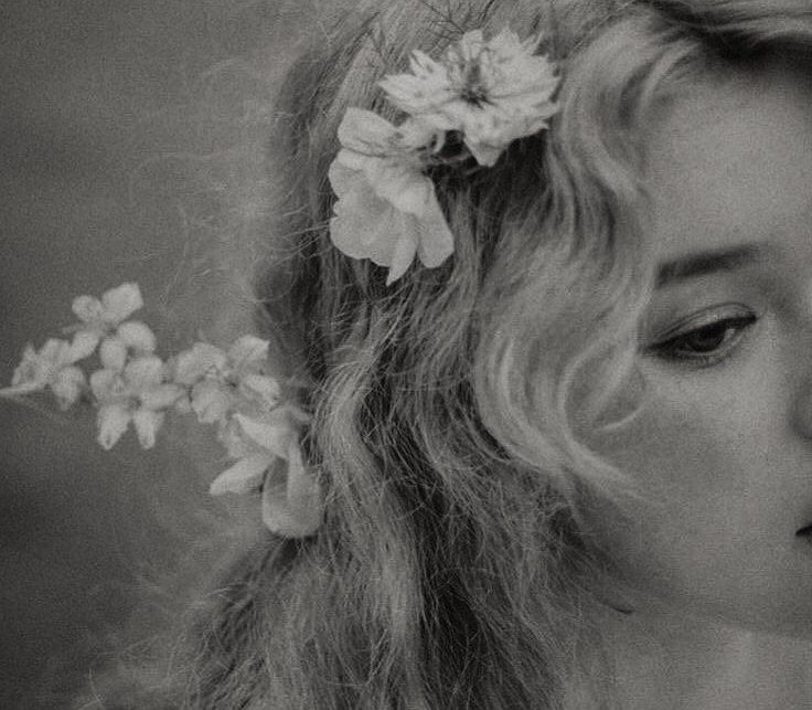 ����� �����������