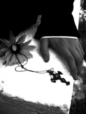 ������� �����������