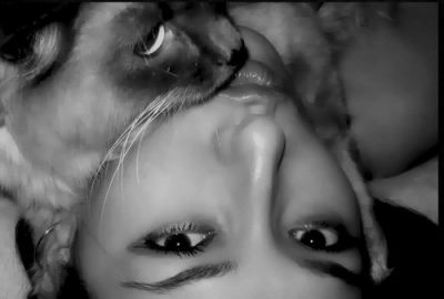 ����� ��������