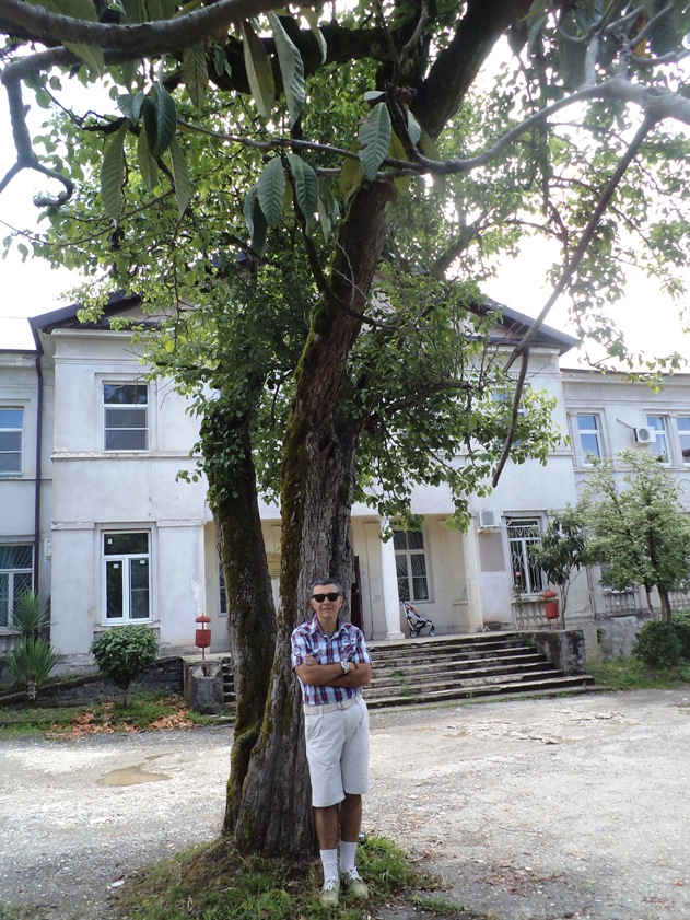 ������� �������