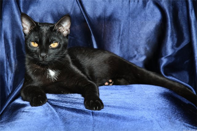 ����� ��������