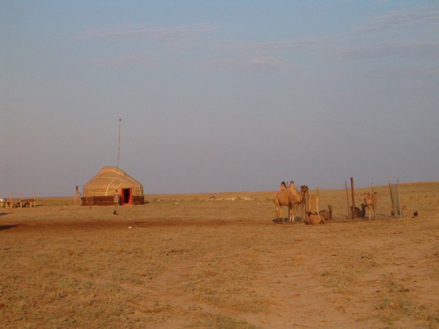 ������ ���������