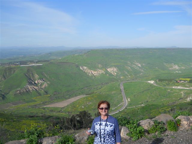 ������� ���������